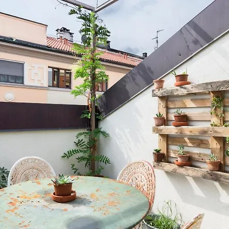 Plum Guide - Seedling * Milano